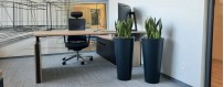 Donice biurowe - idealne rozwiązanie dla przestrzeni biurowej