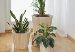 Duże donice drewniane – naturalna elegancja w Twoim ogrodzie