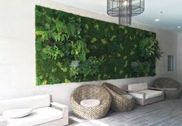 Ogród wertykalny - zielona ściana w Twoim otoczeniu